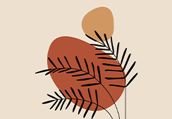 小學(xué)常用的描寫(xiě)方法有哪些